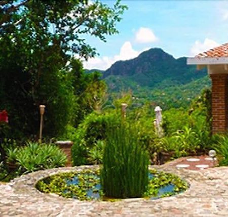 La Villa Bonita Culinary Vacation Tepoztlán Extérieur photo